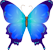 sommerfugl-farver.png